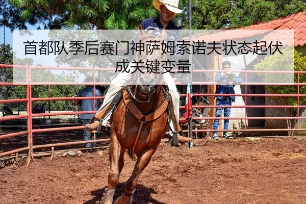 首都队季后赛门神萨姆索诺夫状态起伏成关键变量